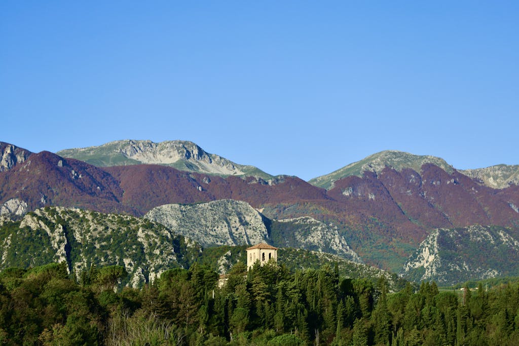 Green Trees and Mountain Under Blue Sky