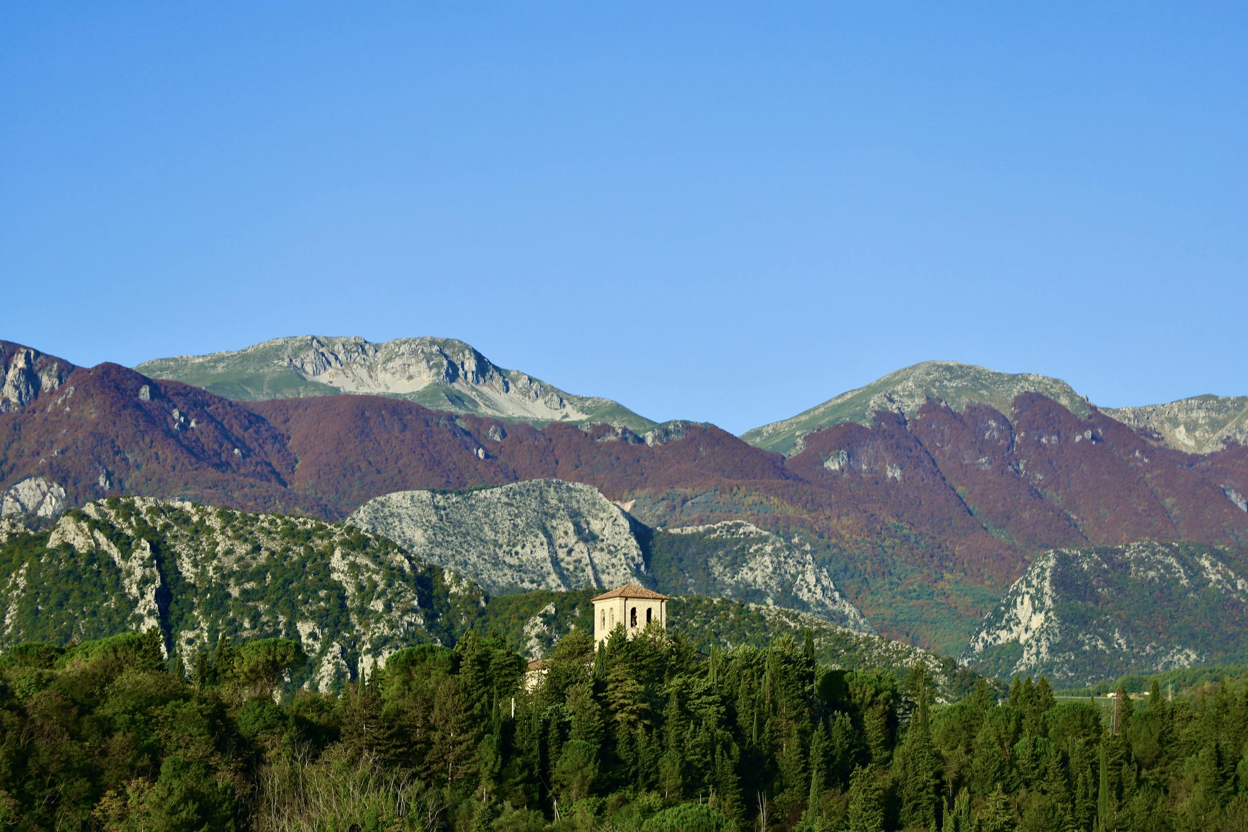 Green Trees and Mountain Under Blue Sky