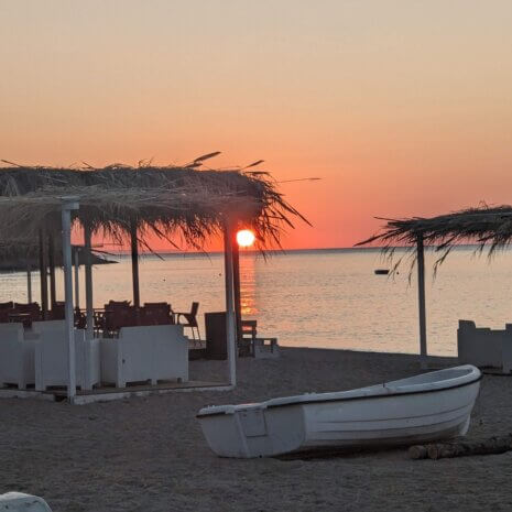 PXL_20230728_035456350 PXL_20230728_035456350