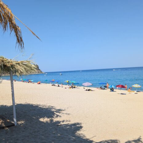 PXL_20240629_144316524 PXL_20240629_144316524